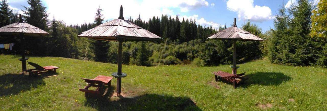 casa paltin cabane Poiana Stampei Extérieur photo