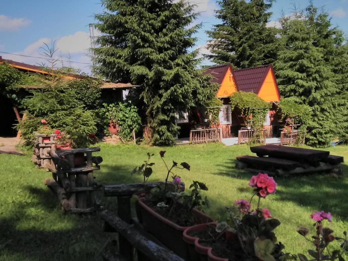 casa paltin cabane Poiana Stampei Extérieur photo