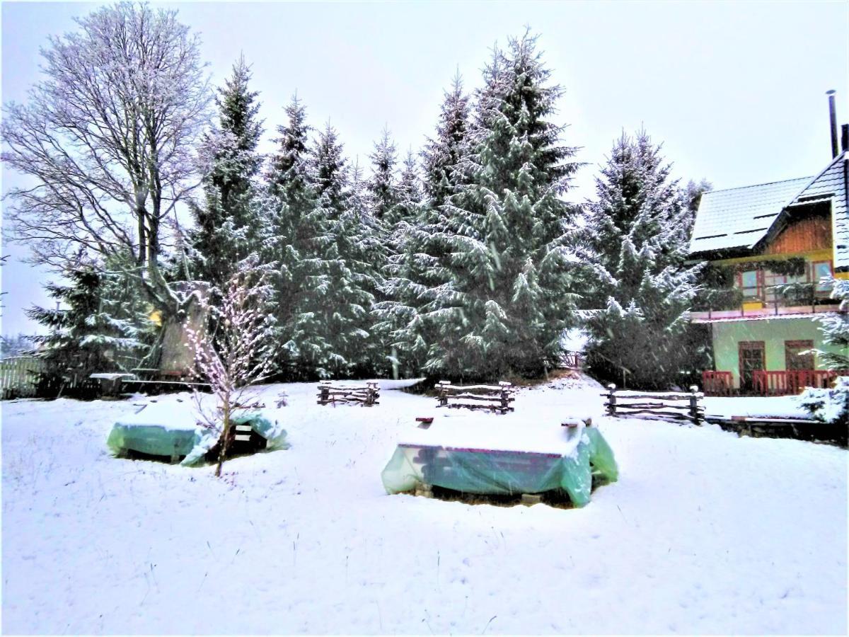 casa paltin cabane Poiana Stampei Extérieur photo